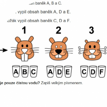 Bobřík informatiky - ústřední kolo kategorie Senior