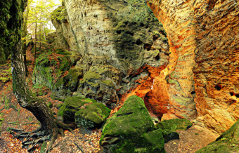 Na Jírovcovce máme nadějné geology