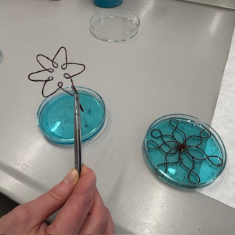 Krásné výsledky v CHO